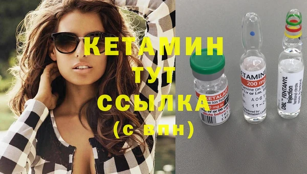 стафф Гусев