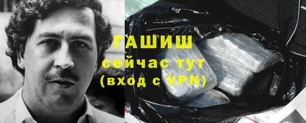 дживик Гусь-Хрустальный