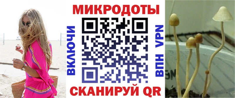 Купить где  Жирновск  Галлюциногенные грибы Psilocybine cubensis 