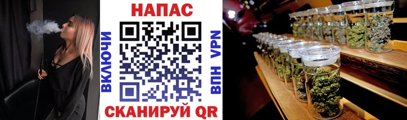 Купить закладки  Жирновск  Каннабис SATIVA & INDICA 